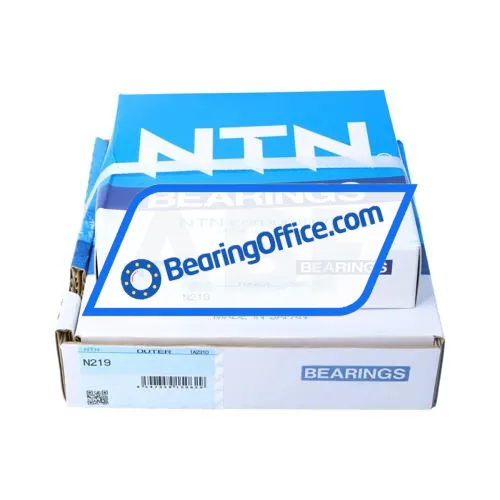 NTN N219 bearing image 4