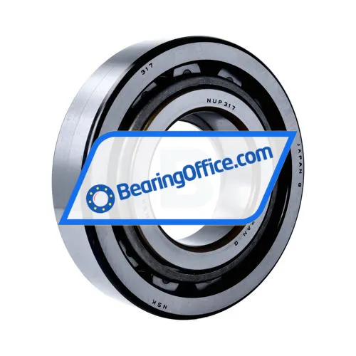 NSK NUP317W