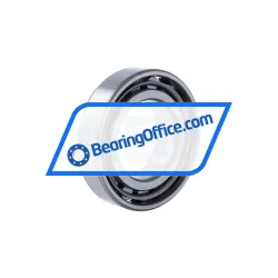 NTN N210C4 rulman resim 2