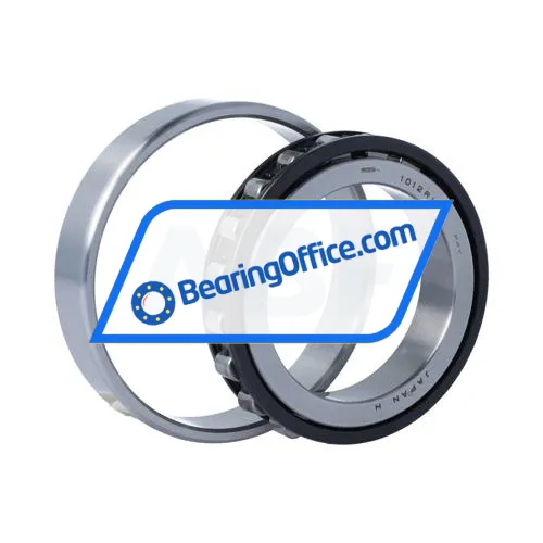 NSK N1012RSTPKRCC0P4Y bearing image 3