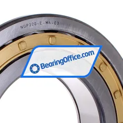 NKE NUP220-E-M6-C3 rulman resim 2