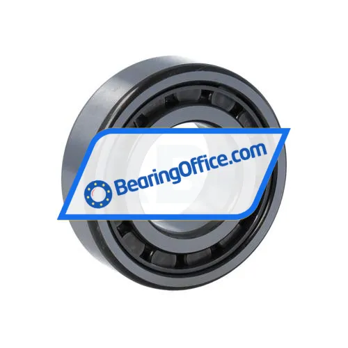 NSK NJ205EW bearing image 2