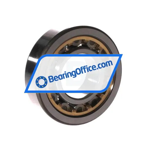 NTN N310E G1 C3 bearing image 2