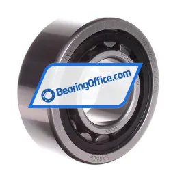 NKE NU2309-E-TVP3-C4-OEM