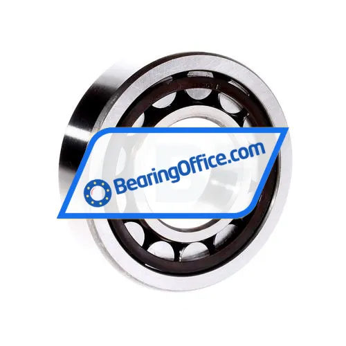 NKE NJ309-E-TVP bearing image 3