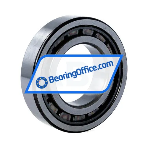 NSK NJ209EW bearing image 2