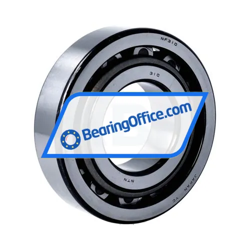 NTN NF310