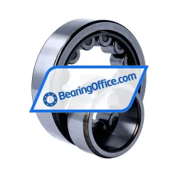 NSK NU309EWU537 rulman resim 3