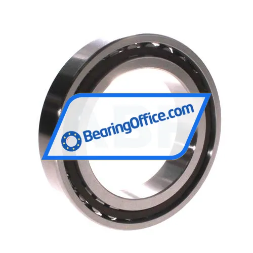NSK N1016BTKRCC1P4 bearing image 2