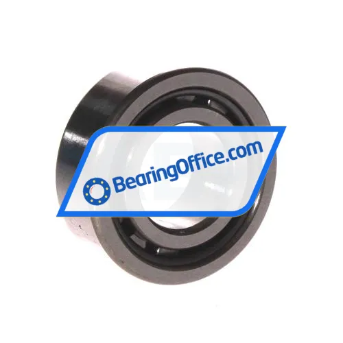 NSK NJ2205W bearing image 2