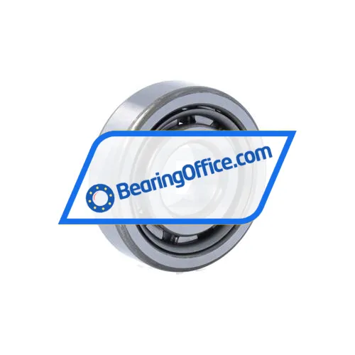 NSK NJ304WC3 bearing image 2