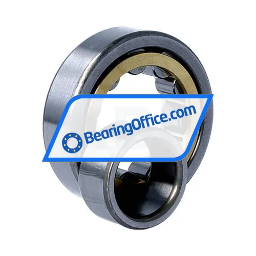 NSK NU305EMCM bearing image 3