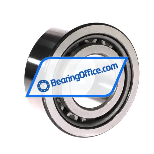 NSK NJ309ETC3 bearing image 2