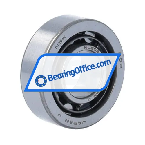 NSK NJ202W