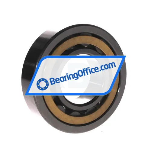 FBJ NU309EM C3 bearing image 2