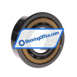 FBJ NU309EM C3 rulman resim 2