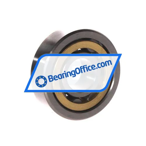 FBJ NU303E C3 bearing image 2