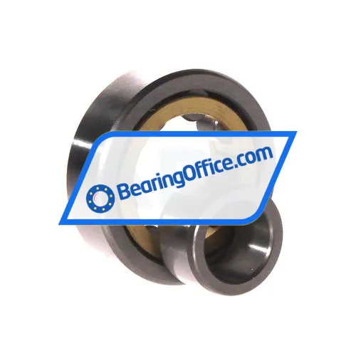 FBJ NU303E C3 bearing image 3