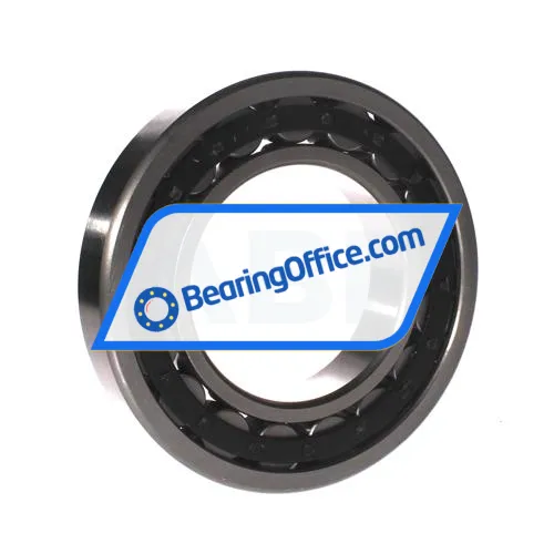 FBJ NU219E C3 bearing image 2
