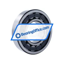 ZVL NJ317E rulman resim 2