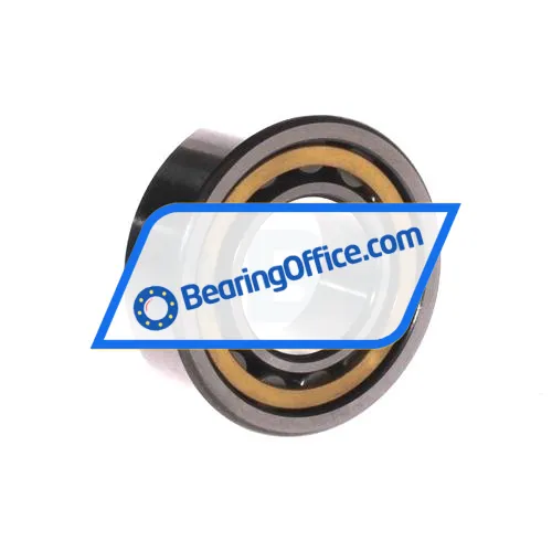 FBJ NU2306E C3 bearing image 2