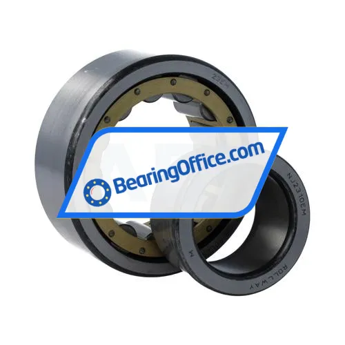 Rollway NJ2310EM bearing image 3