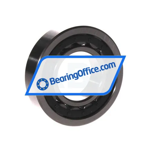 FBJ NU207E C3 bearing image 2