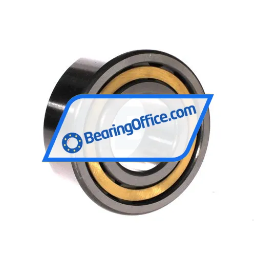 FBJ NJ2310EM C3 bearing image 2