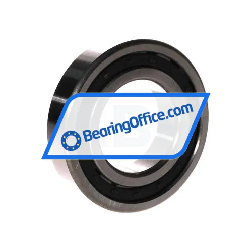 FBJ NJ209EM C3 bearing image 2