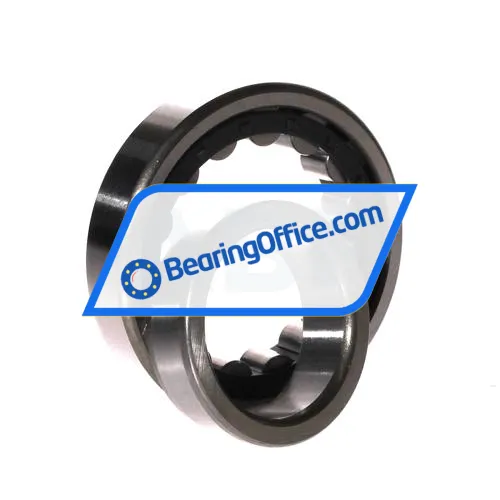 FBJ NJ209EM C3 bearing image 3