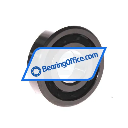 FBJ NUP305E C3 bearing image 2