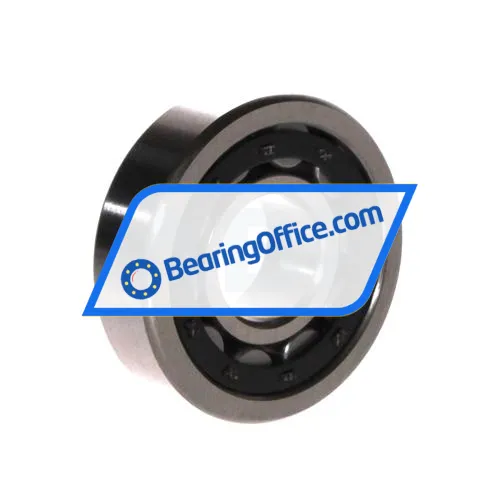 FBJ NU304E C3 bearing image 2