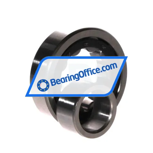 FBJ NU304E C3 bearing image 3