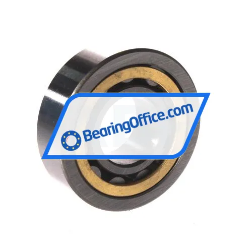 FBJ NU204EM C3 bearing image 2