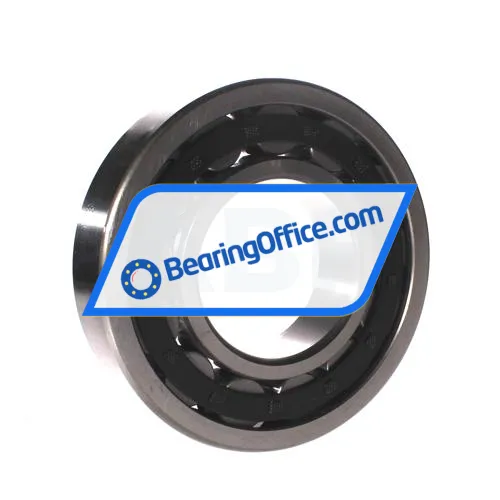 FBJ NU318E C3 bearing image 2