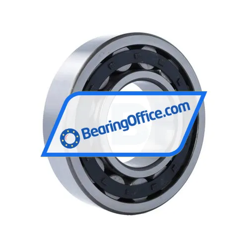 ZVL NU318E bearing image 2