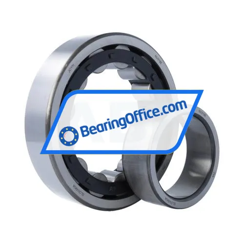 ZVL NU318E bearing image 3