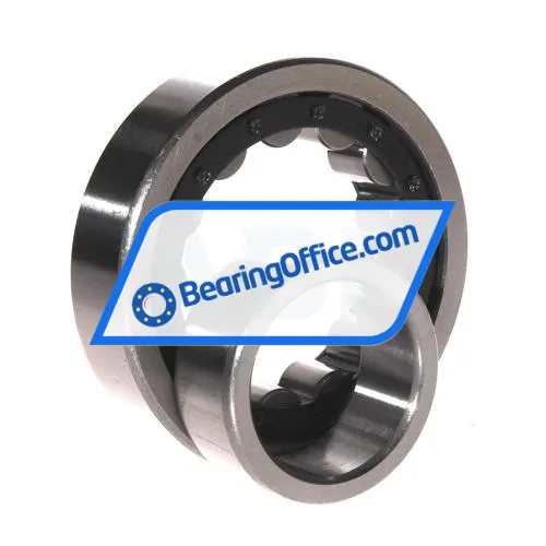 ZKL NU309 bearing image 3