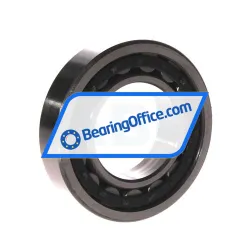 ZKL NJ209E rulman resim 2