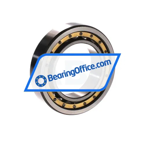 URB NU1009 M bearing image 2