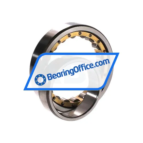 URB NU1009 M bearing image 3