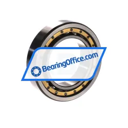 URB NU1009 M rulman resim 2