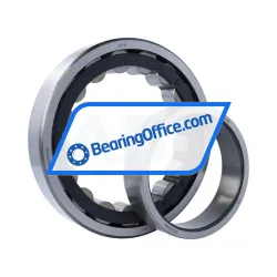 ZVL NU226E rulman resim 3