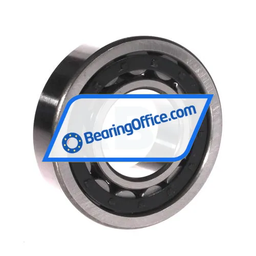 FBJ NU309E bearing image 2