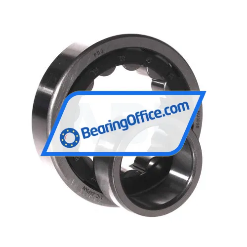 FBJ NU309E bearing image 3