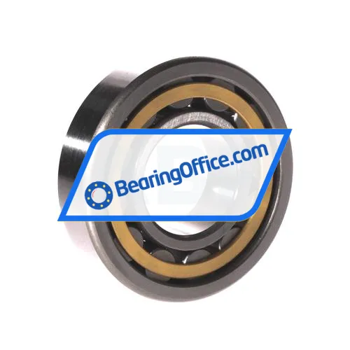 FBJ NU308EM C3 bearing image 2