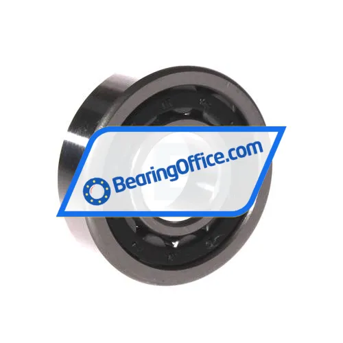 FBJ NU305E C3 bearing image 2