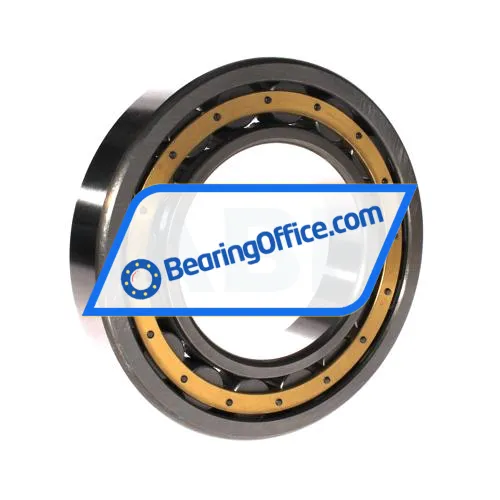 FBJ NU219EM C3 bearing image 2