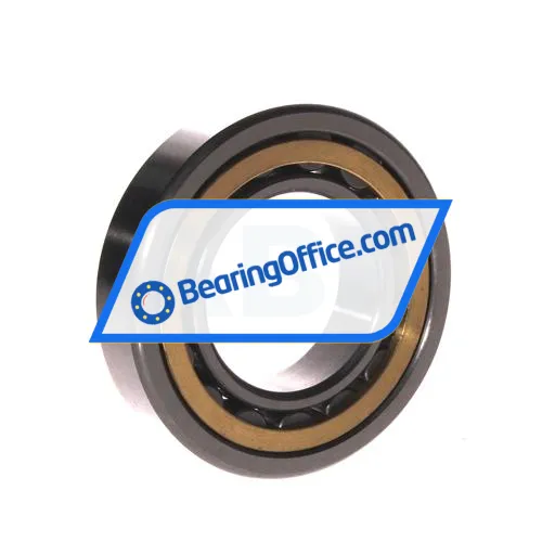 FBJ NU209EM C3 bearing image 2