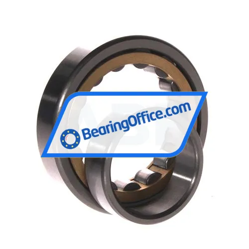 FBJ NU209EM C3 bearing image 3